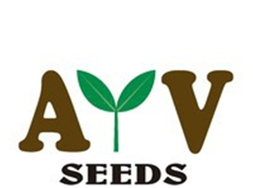 AYV Seeds AYV Seeds