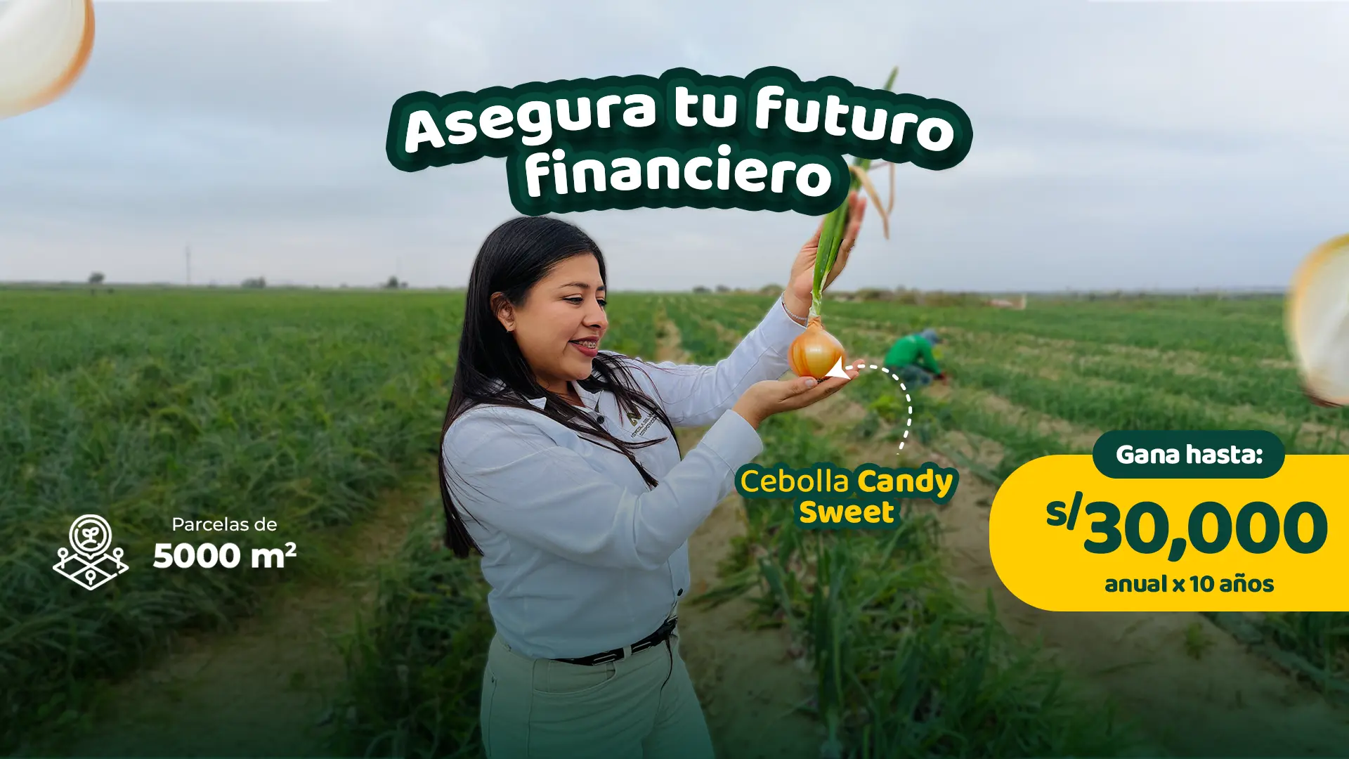 Asegura tu futuro financiero