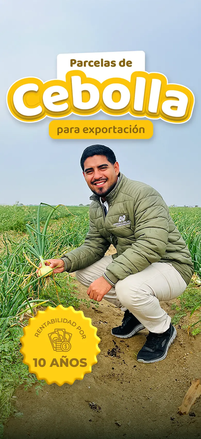 Cebollas para exportación